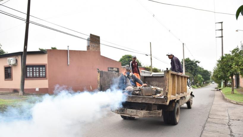 Realizan fumigaciones y limpieza en distintos sectores de la ciudad ...